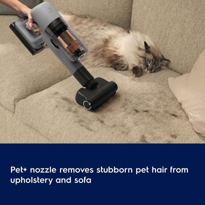 Pet+ nozzle removes stubborn pet hair from upholstery and sofa