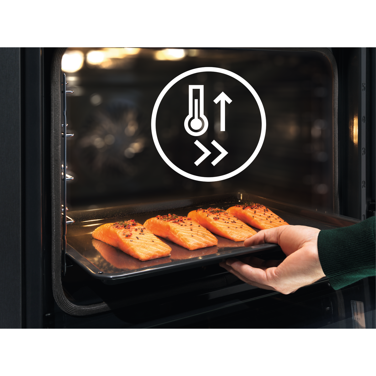 Electrolux - Mikrovalë inkaso - EVL6E46X