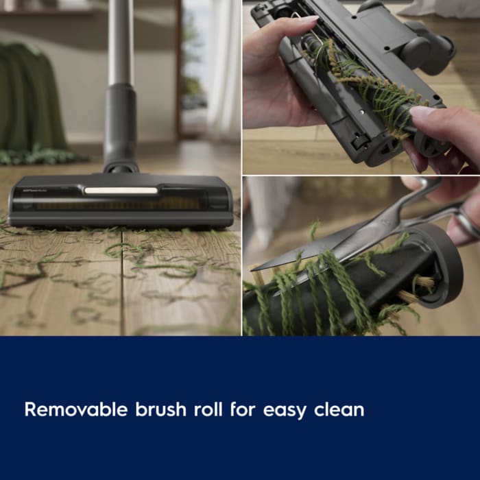 Removable brush roll for easy clean