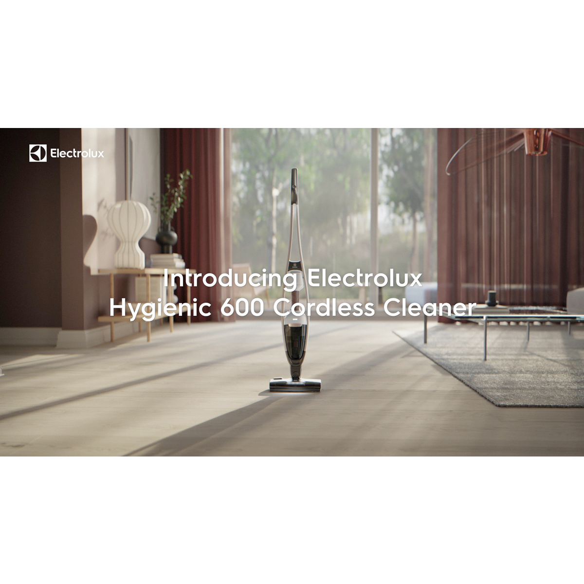 Electrolux - Cordless Sticks - ES62P25WET