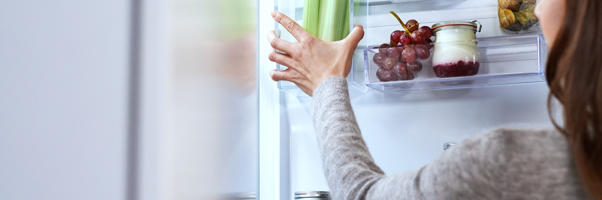 Electrolux Frigoriferët