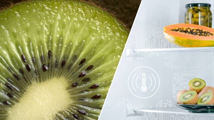 Kiwi and grapefruit