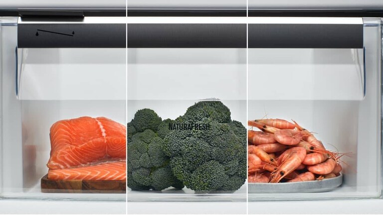 Salmon, broccoli and shrimp